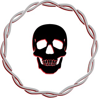 wbxxtrue's emblem