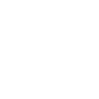 pvosto_veks's emblem