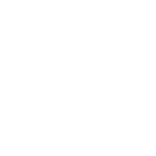 Vostroyan55th's emblem