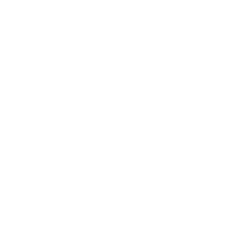 MARCELO_FIS's emblem