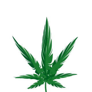 DelirusNoctua's emblem