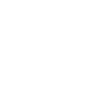 ReinHavenhite's emblem