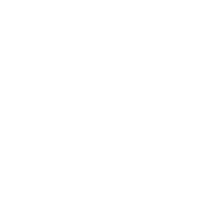 Alic_Skywalker's emblem