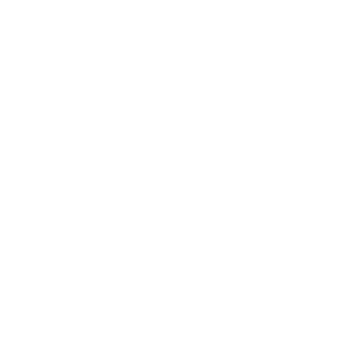 MartinusT99's emblem