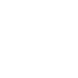 JET454's emblem