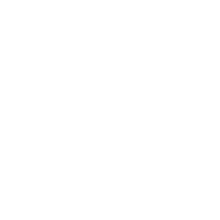REDIonE-ORG's emblem
