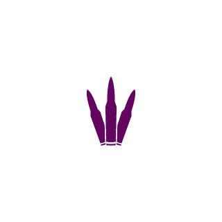 90-defender's emblem