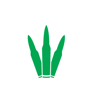 Costera023's emblem