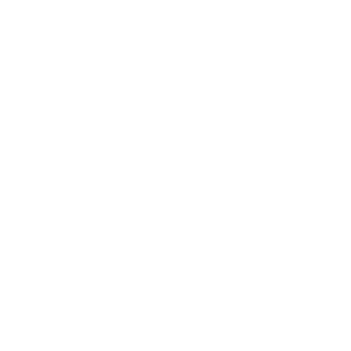 BarykinD's emblem