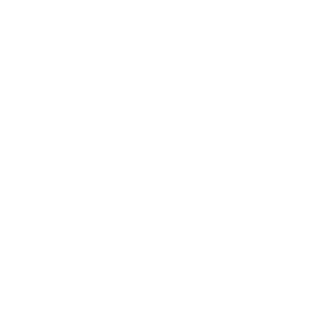layer8pebcak's emblem