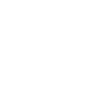 Governor_ZA's emblem