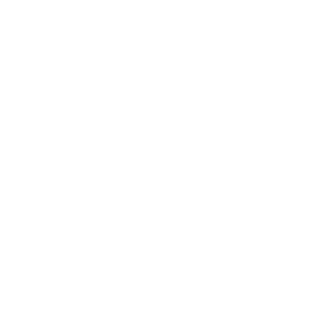 RP080607's emblem
