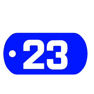 Starfighter513's emblem