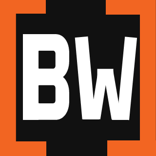 FlannelNZ's emblem