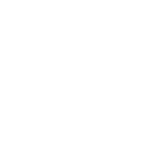 Chvoji13's emblem