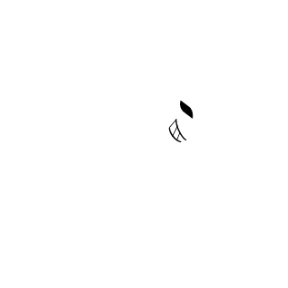 borgus2400's emblem