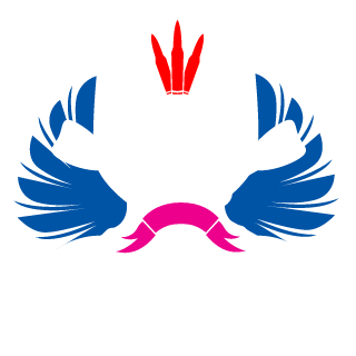 Shining409's emblem