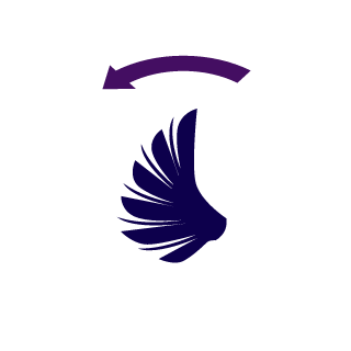 Ceck_f's emblem