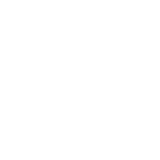 MEGA_HOROSH228's emblem