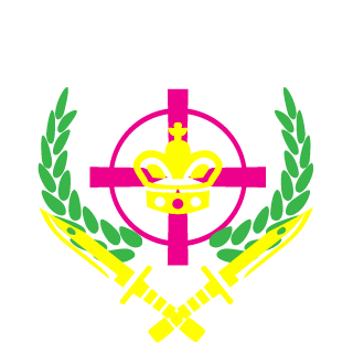 NinjaSkulls's emblem