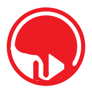 N24-Arm's emblem