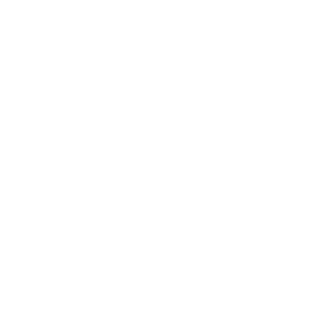 RomzesRover's emblem