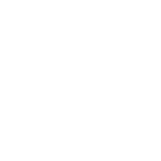 general_chrome's emblem