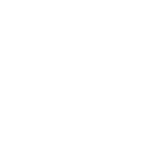 Meddy-Syn's emblem