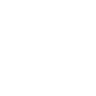98Static's emblem