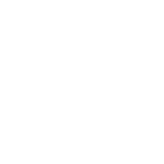 CRASHisamenace's emblem