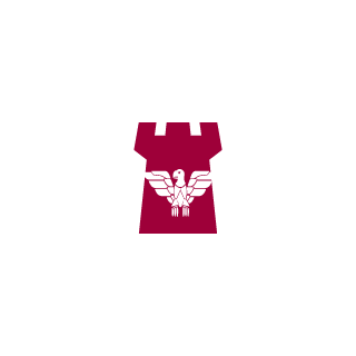 Snowcap89's emblem