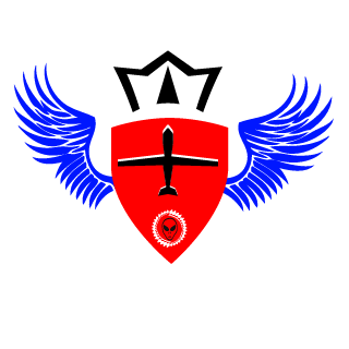 ftnvctr1's emblem