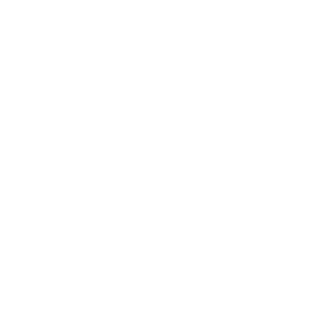 BabakSTRG's emblem