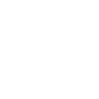 Vicarious87's emblem