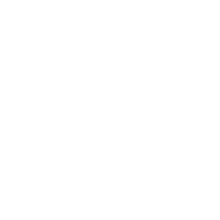 srandersonsss's emblem