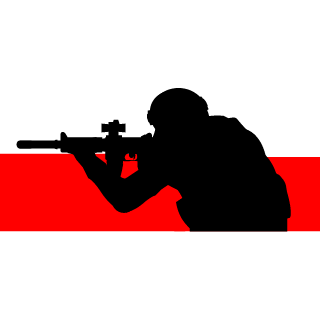 Cezar2229's emblem