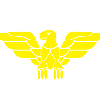 ryannguyen22693's emblem