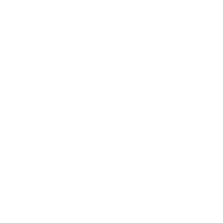 HULIGANS25rus's emblem