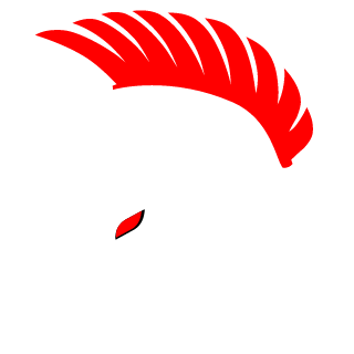 FGCfox's emblem