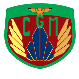 RAYLI00MAR's emblem