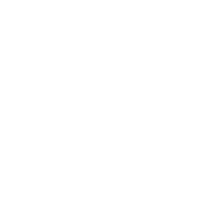 Dashboard Kings's emblem
