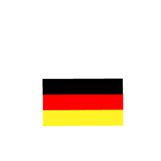 MegaBravo's emblem