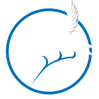 EternalSeas's emblem