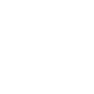 idvladboom's emblem