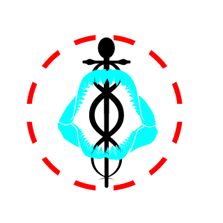 ArcWzrd's emblem