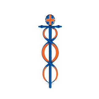 AsukaFallen's emblem