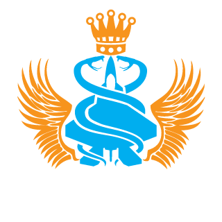 Ryuken2001's emblem