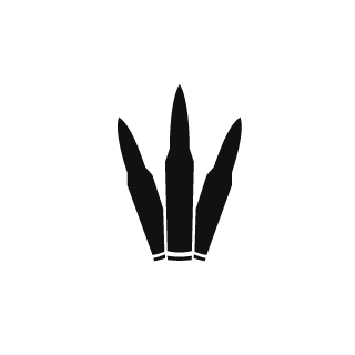 VapeNationKush's emblem