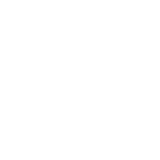 14Crown's emblem