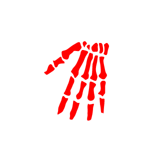 TIF-mockingjay's emblem